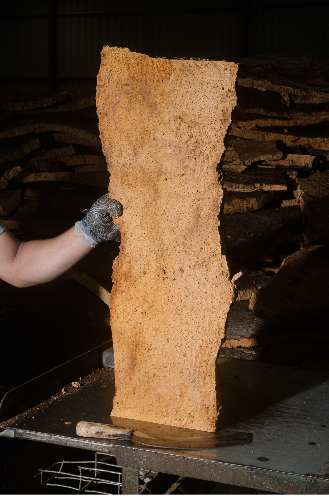 Diário de uma República